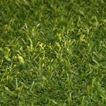 Artificial Grass India